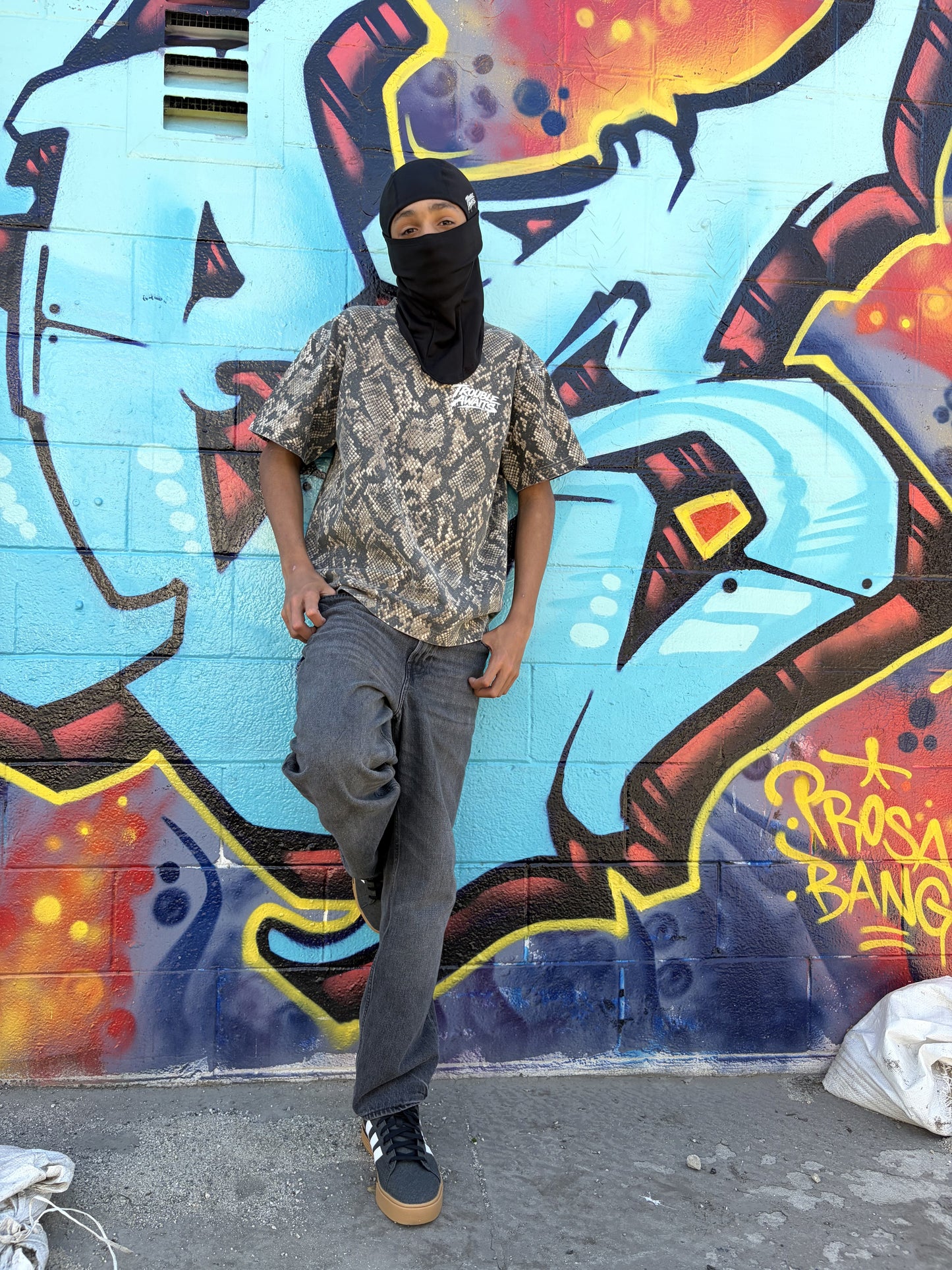 A person stands facing a large, colorful graffiti mural painted on a textured brick wall. The artwork features bold, vivid imagery including a character with exaggerated facial features and bright clothing, as well as a large green syringe-like object and abstract shapes in blues, reds, yellows, and purples. The ground is concrete with scattered paint marks.

The person is shown from the back, standing upright and centered in the frame. They are wearing an oversized, boxy short-sleeve T-shirt 