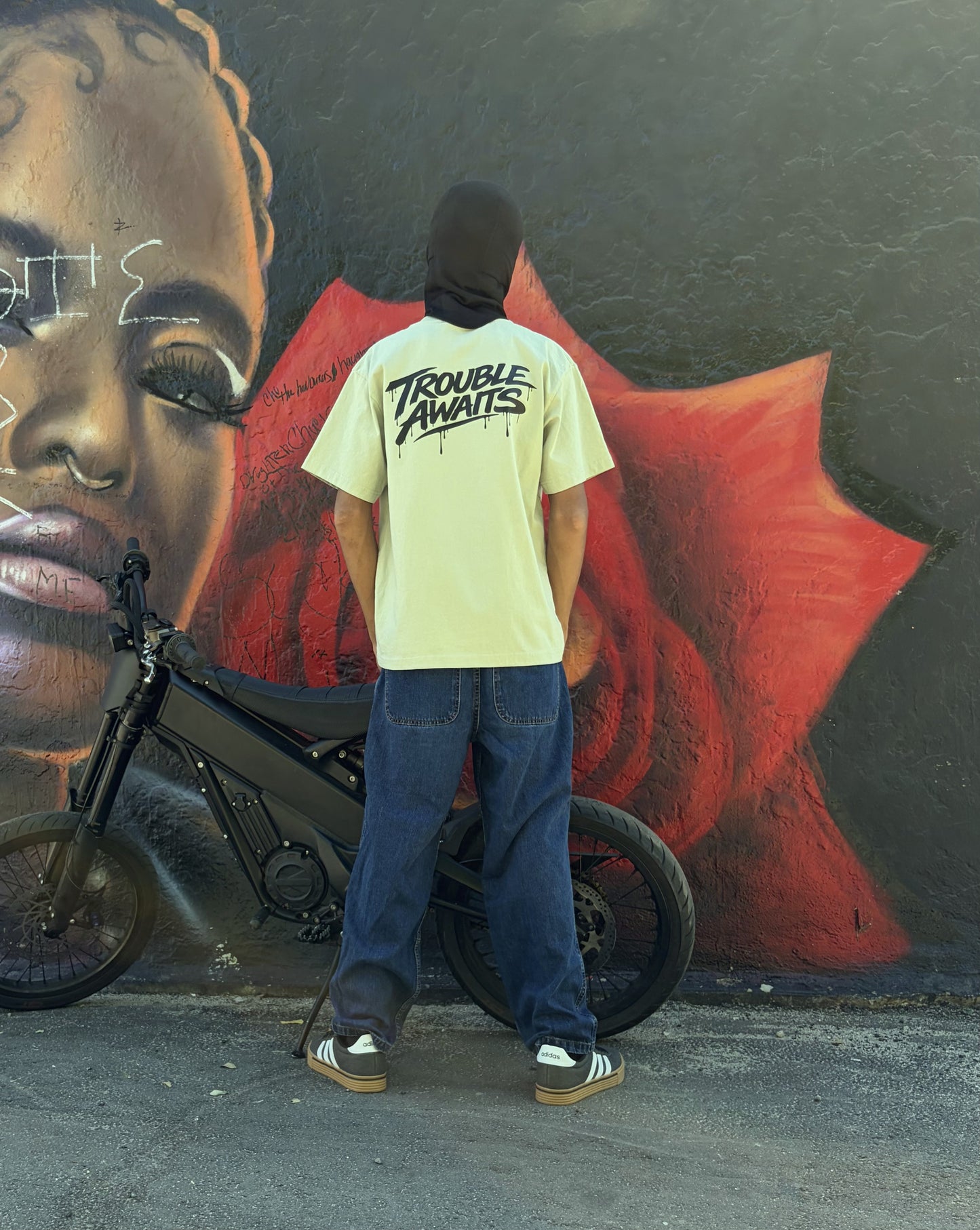 A person stands outdoors with their back facing the camera in front of a large graffiti-covered wall. The mural features a detailed portrait of a face on the left side and bold red shapes layered over a dark background. The ground is rough concrete, and a black electric-style bicycle is parked to the left of the person, partially overlapping the mural.

The person is wearing an oversized, boxy short-sleeve T-shirt in a soft sage green color. Centered across the upper back is a large black “Trouble Awaits” 