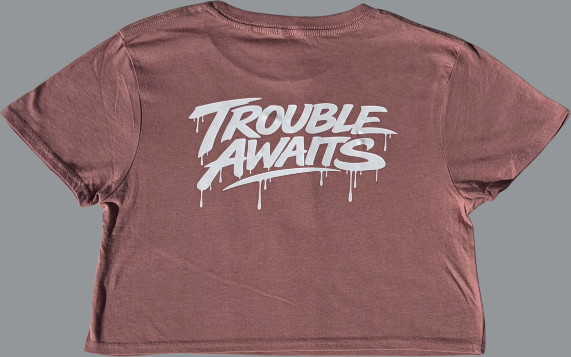 A product image shows the back of a women’s cropped T-shirt in a mauve color, laid flat against a neutral gray background. The shirt has a relaxed, boxy silhouette with short sleeves and a straight, cropped hem that sits above the waistline.

The fabric appears soft with a slightly heathered texture, and there are natural wrinkles visible across the body and sleeves. The neckline is a standard crew neck with stitched detailing around the collar.

Centered across the upper back is a large “Trouble Awaits” 