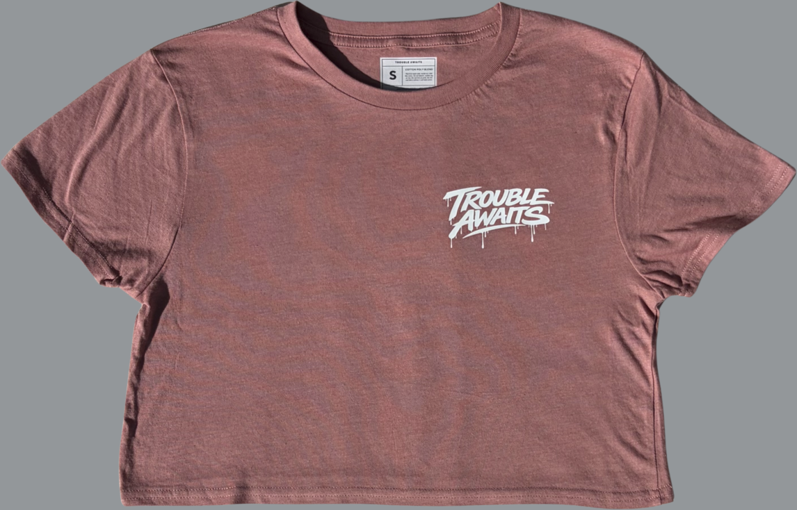 A product image shows the front of a women’s cropped T-shirt in a heather mauve color, laid flat against a neutral gray background. The shirt has a relaxed, boxy fit with short sleeves and a straight, cropped hem that sits above the waist.

The fabric appears soft with a subtle heathered texture, and there are natural wrinkles visible across the body and sleeves. The neckline is a classic crew neck with stitched detailing, and a small interior label is visible at the back of the collar indicating the size.
