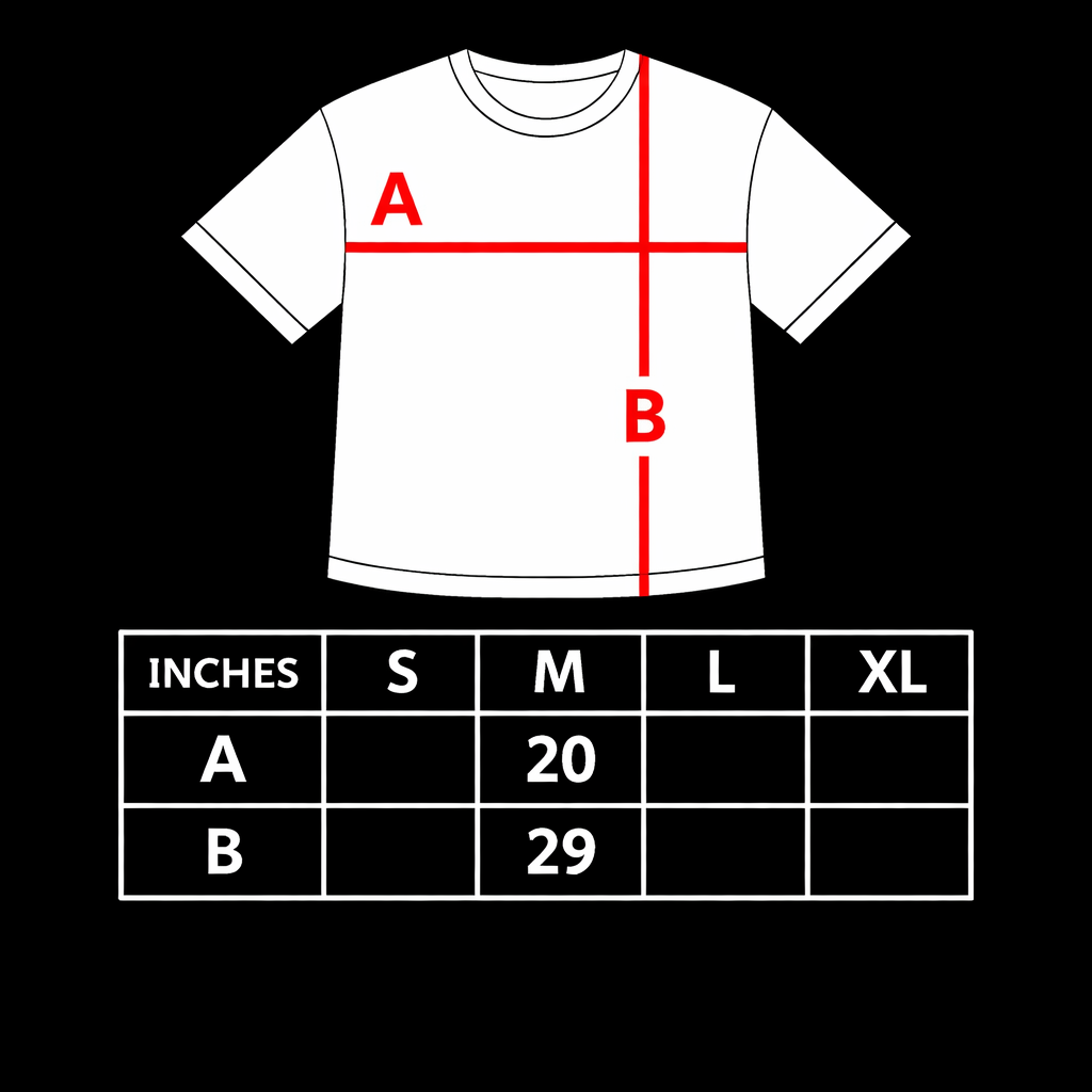 A black size chart graphic featuring a white T-shirt illustration at the top. Two red lines indicate measurement points: A runs horizontally across the chest to show width, and B runs vertically from the shoulder to the bottom hem to show length. Below the illustration is a table labeled “Inches” with columns for sizes Small, Medium, Large, and Extra Large. Only the Medium size contains measurements, showing A (chest width) as 20 inches and B (shirt length) as 29 inches. The other size columns are blank