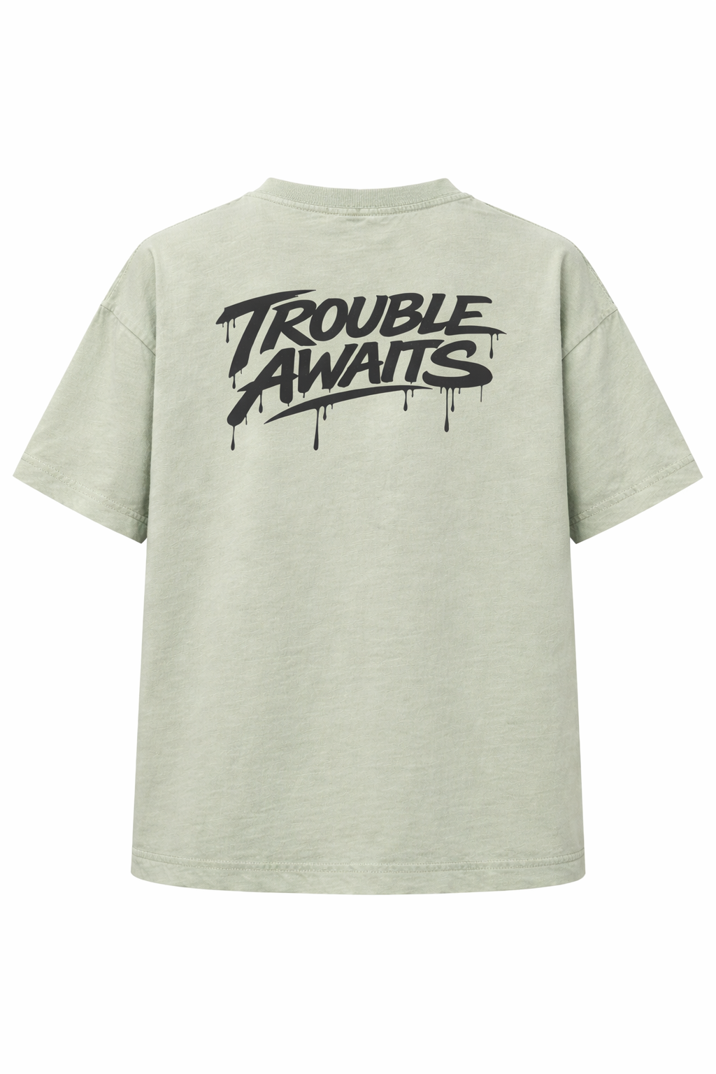 A short-sleeve T-shirt is displayed flat against a plain white background, shown from the back. The shirt has an oversized, boxy fit with a crew neckline, wide sleeves, and a straight hem.

The fabric is a muted sage green color, giving it a soft, slightly desaturated earthy tone. The surface appears smooth with subtle natural fabric texture visible under even lighting.

Centered across the upper back is a large black “Trouble Awaits” logo in a bold graffiti-style font. 