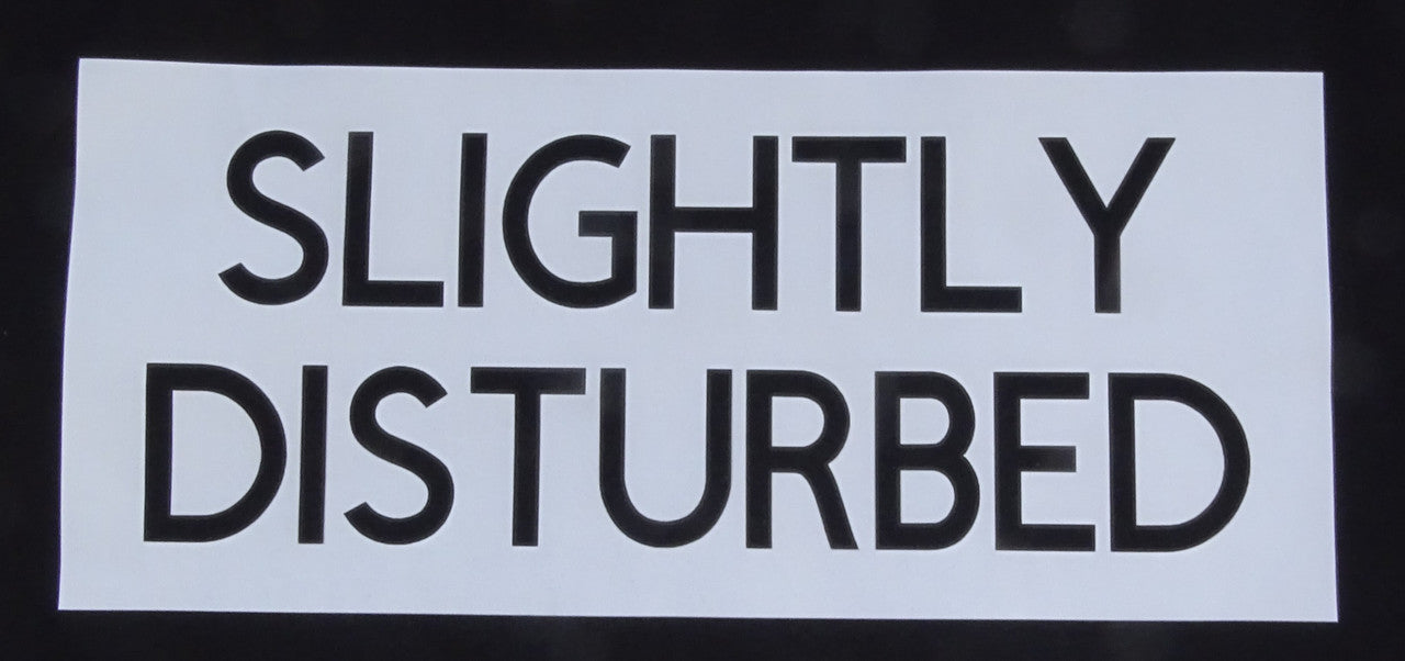 Featuring a large rectangular graphic printed across the upper back. The design consists of a light grey box containing the words “SLIGHTLY DISTURBED” in bold, all-capital black lettering.