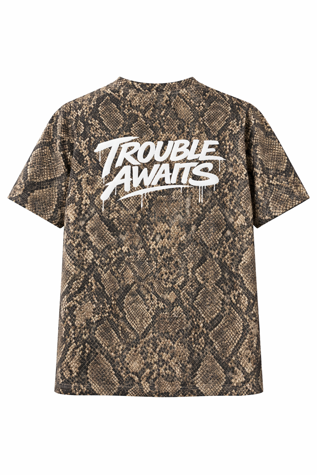 A back view of an oversized, boxy short-sleeve T-shirt displayed flat against a neutral white background. The shirt features a detailed snakeskin pattern in shades of black, dark brown, and beige, creating a textured, scale-like appearance across the entire fabric.

Centered across the upper back is a large white graphic that reads “Trouble Awaits” in a bold, graffiti-style script. The lettering includes dripping paint details extending downward from several parts of the text, giving it a street-art style