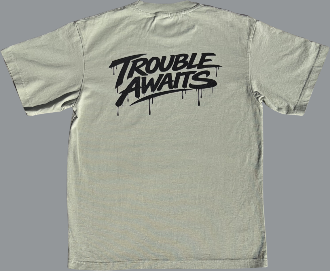 A short-sleeve T-shirt is displayed flat against a plain gray background, shown from the back. The shirt has an oversized, boxy fit with a crew neckline, wide sleeves, and a straight hem.

The fabric is a muted sage green color, giving it a soft, slightly desaturated earthy tone. The surface appears smooth with subtle natural fabric texture visible under even lighting.

Centered across the upper back is a large black “Trouble Awaits” logo in a bold graffiti-style font. 