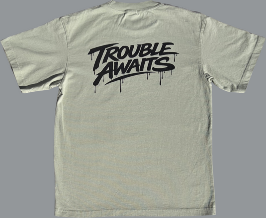 A short-sleeve T-shirt is displayed flat against a plain gray background, shown from the back. The shirt has an oversized, boxy fit with a crew neckline, wide sleeves, and a straight hem.

The fabric is a muted sage green color, giving it a soft, slightly desaturated earthy tone. The surface appears smooth with subtle natural fabric texture visible under even lighting.

Centered across the upper back is a large black “Trouble Awaits” logo in a bold graffiti-style font. 